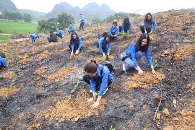 Thanh niên Thông tấn xã Việt Nam trồng 11.000 cây xanh tại Hòa Bình ảnh 2