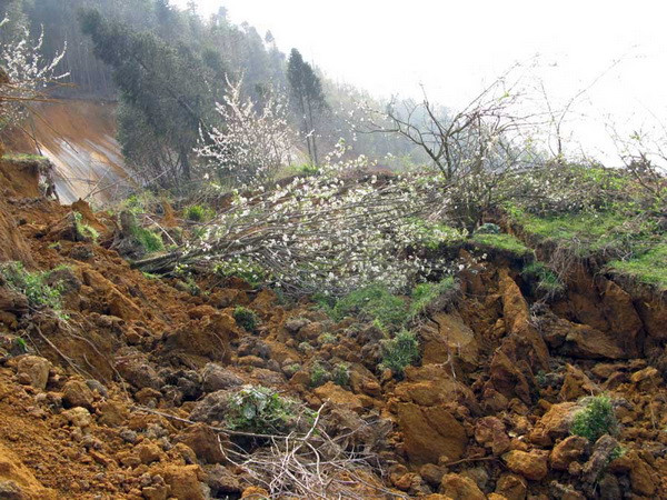 Sụt đất khi đang đào cống vùi lấp 5 người, 2 người tử vong ảnh 1