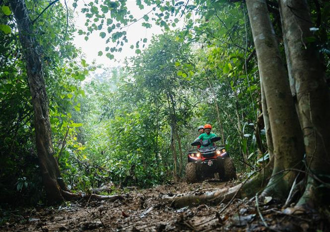 Quảng Bình: Tìm cách gỡ vướng mắc trong liên kết vùng kinh tế-xã hội ảnh 1