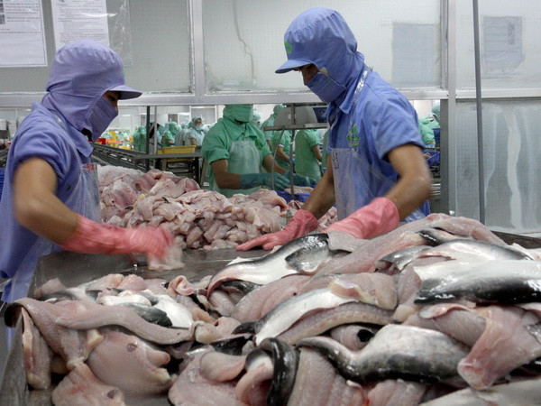 Cần Thơ phấn đấu đạt kim ngạch xuất khẩu 1,45 tỷ USD năm 2015 ảnh 1