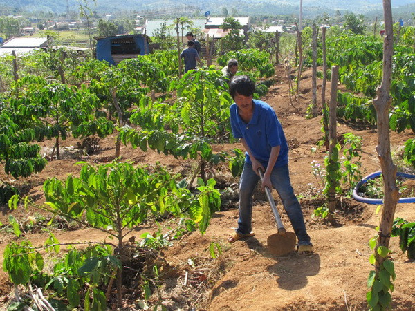 Còn nhiều hộ nghèo, Gia Lai khó đạt lộ trình xây nông thôn mới ảnh 1