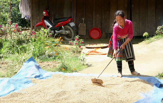 Sức sống mới trên bản Chu Va sau gần 4 năm sự cố lật cầu ảnh 1