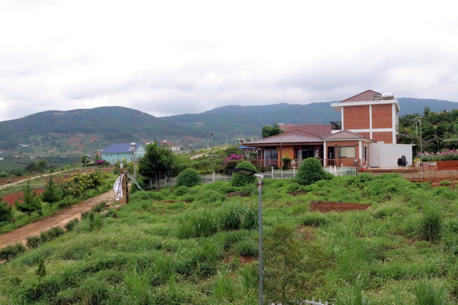 ttxvn_trang trai lon o nhiem lam dong (2).jpg