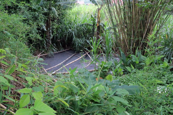 ttxvn_trang trai lon o nhiem lam dong (3).jpg