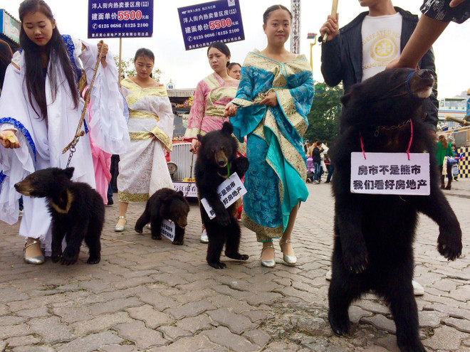 Công ty bất động sản gây phẫn nỗ khi dùng gấu đen để quảng bá ảnh 1