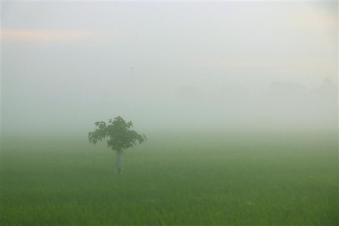Bắc Bộ vẫn còn rét, sáng sớm có sương mù, trưa chiều hửng nắng ảnh 1