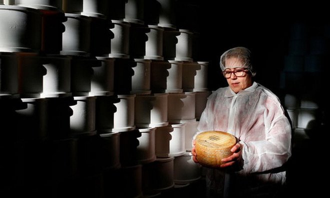 Mexico và EU đạt nhiều tiến bộ về đàm phán nâng cấp FTA ảnh 1