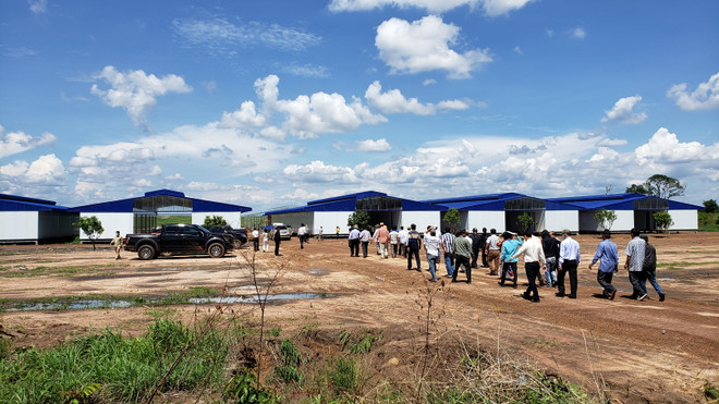 Đầu tư nông nghiệp của Việt Nam thu hút lao động Campuchia ảnh 2