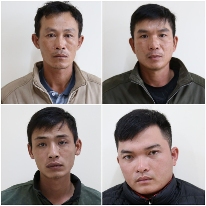 Gia Lai: Tạm giữ 4 đối tượng liên quan vụ khai thác gần 85m3 gỗ rừng ảnh 2