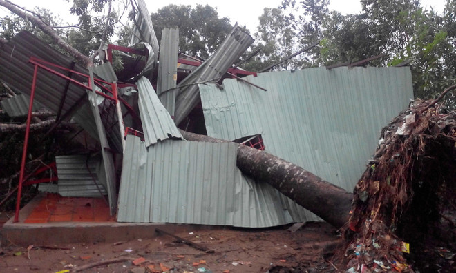 Long An: Dông lốc dữ dội thổi bay 36 mái nhà ở xã Tân Hòa ảnh 1