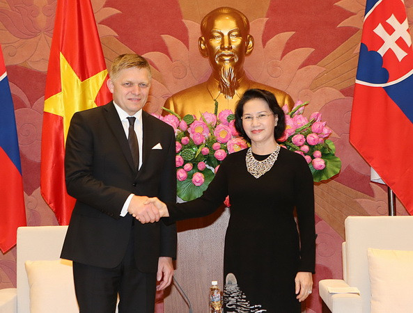 Slovakia muốn hợp tác lĩnh vực kinh tế thế mạnh với Việt Nam ảnh 1