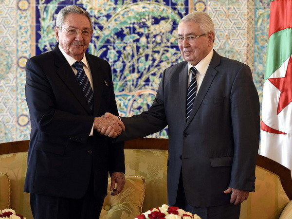 Cuba hoàn toàn ủng hộ chính sách đối ngoại của Algeria ảnh 1