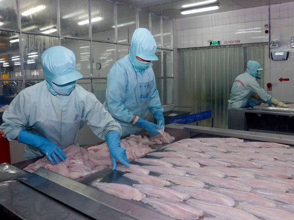 Doanh nghiệp vẫn lạc quan khi Mỹ kiểm tra cá tra Việt Nam ảnh 2