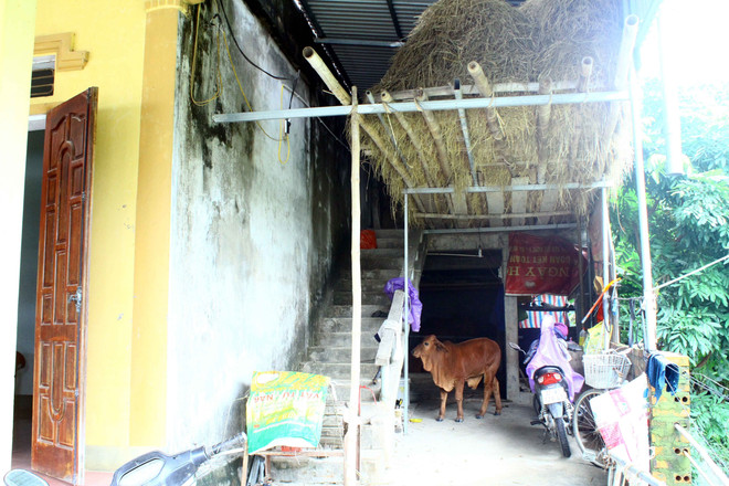 Nghệ An: Người dân vùng 'rốn lũ' Châu Nhân chủ động sống chung với lũ ảnh 1