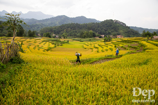 "Mục sở thị" 3 địa điểm du lịch homestay cực chất ở Hà Giang ảnh 18