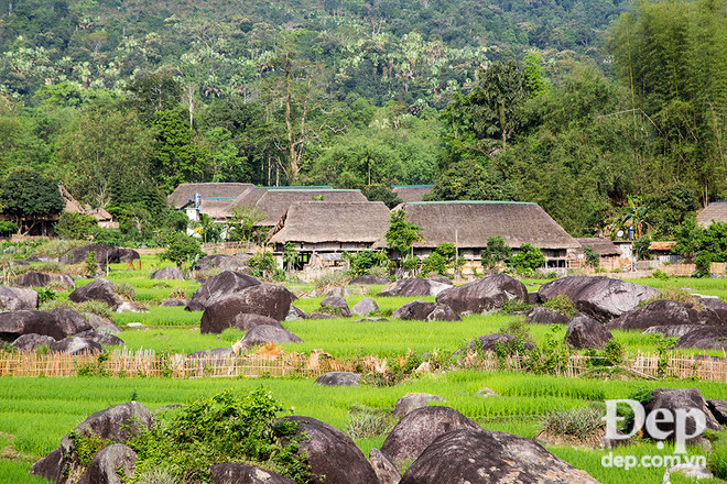 "Mục sở thị" 3 địa điểm du lịch homestay cực chất ở Hà Giang ảnh 15