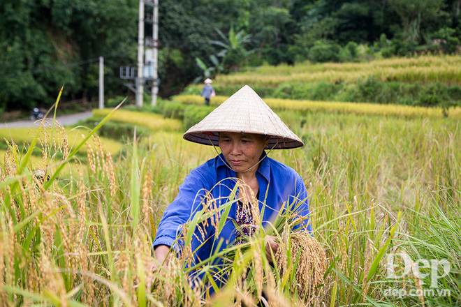 "Mục sở thị" 3 địa điểm du lịch homestay cực chất ở Hà Giang ảnh 19