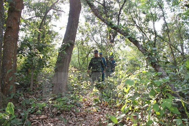 10 sự kiện nổi bật của ngành tài nguyên và môi trường trong năm 2016 ảnh 9