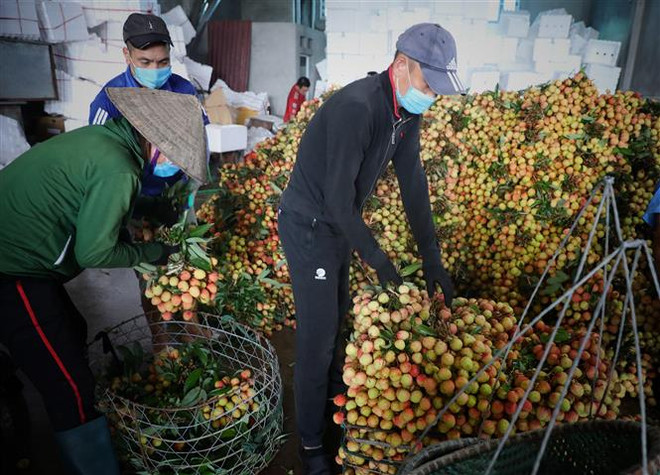 Bắc Giang cần duy trì tầm soát, tạo điều kiện để tiêu thụ nông sản ảnh 2