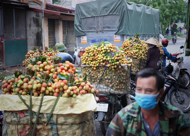 Bắc Giang cần duy trì tầm soát, tạo điều kiện để tiêu thụ nông sản ảnh 1