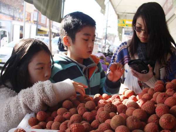 Hà Nội chú trọng mở rộng các cơ hội đầu tư cho kiều bào ảnh 1
