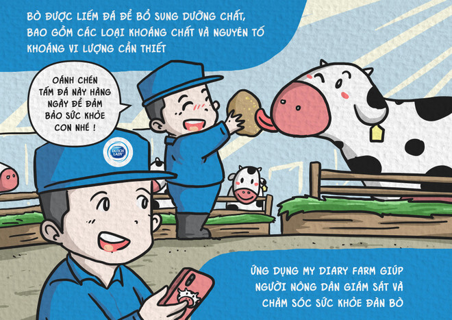 Tình cảm gia đình trong nông trại chuẩn Hà Lan trên đất Việt ảnh 3