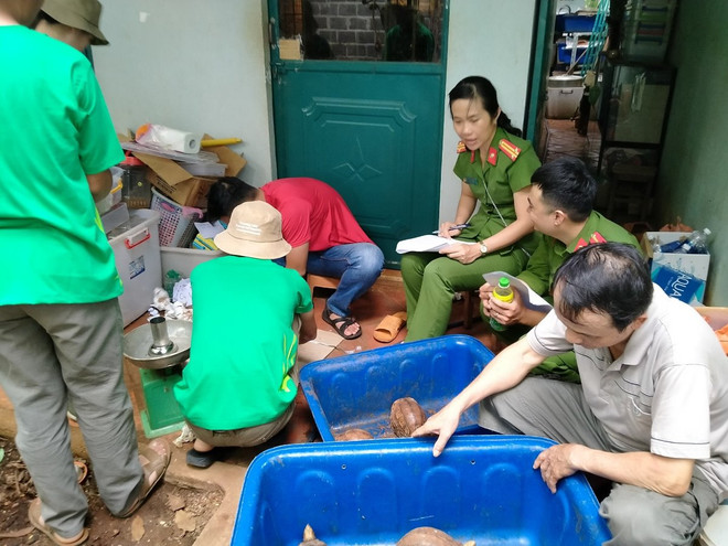 Cơ quan chức năng kiểm kê tang vật. (Ảnh: ENV cung cấp) Nhiều cá thể động vật hoang dã quý, hiếm được giải cứu trong tháng Năm ảnh 6