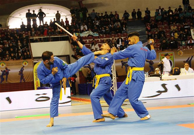 Thành lập Liên đoàn Vovinam-Việt Võ đạo khối các nước Arab ảnh 1