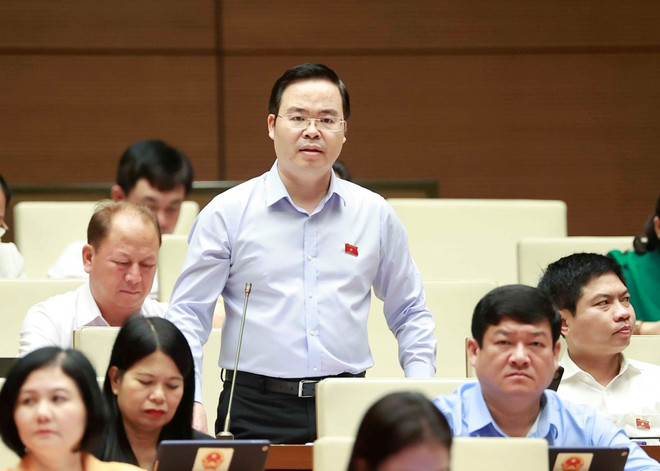 Đại biểu Quốc hội: Cần xóa bỏ tư duy ‘không gì lãi bằng buôn đất’ ảnh 2