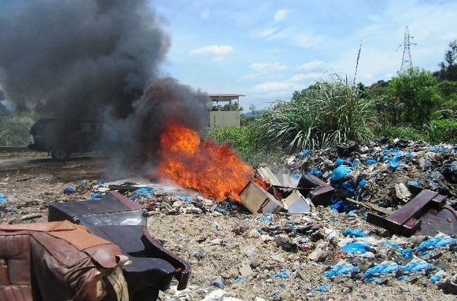 Quảng Ninh: 5 cá thể gấu bị chết và nguy kịch cần cứu hộ ảnh 1