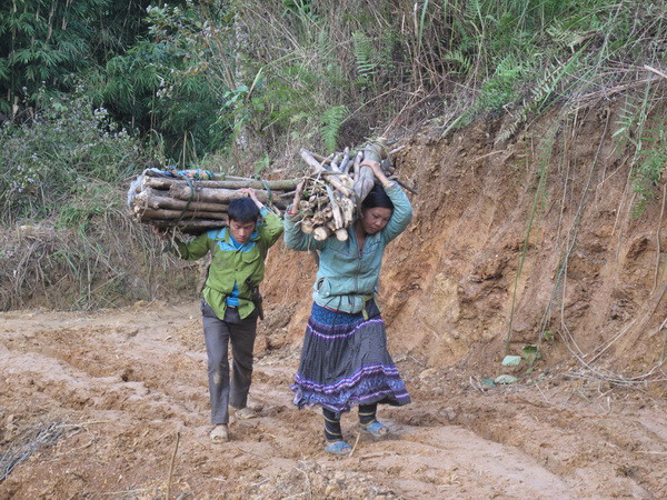 Bắc Bộ thời tiết ấm dần, trời nắng không khí hanh khô ảnh 1