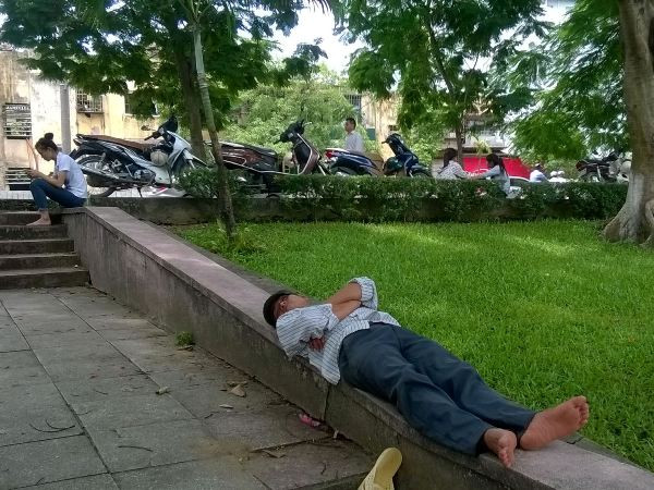 Phút nghỉ trưa của sĩ tử và phụ huynh ở sân trường, công viên ảnh 5