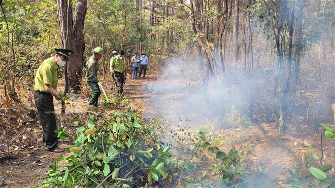 Gia Lai chủ động phòng, chống cháy rừng theo phương châm “4 tại chỗ” ảnh 2