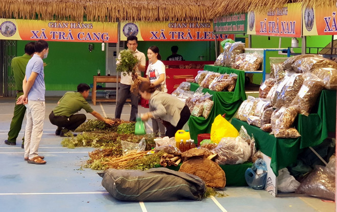 Quảng Nam: Phiên chợ sâm Ngọc Linh đạt doanh thu 2,1 tỷ đồng ảnh 2