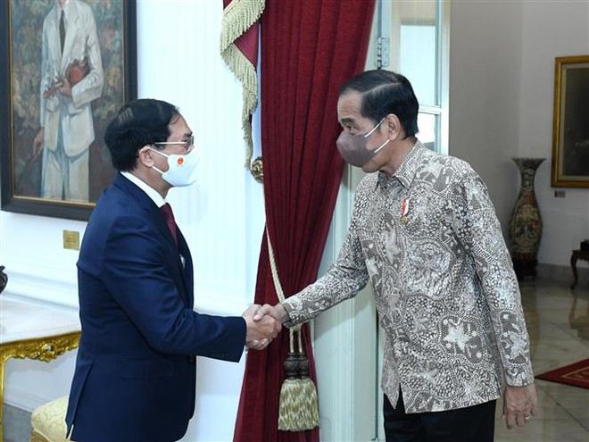Bộ trưởng Ngoại giao Bùi Thanh Sơn tiếp kiến Tổng thống Indonesia Joko Widodo (Ảnh: TTXVN phát) Thúc đẩy mạnh mẽ quan hệ Đối tác chiến lược Việt Nam-Indonesia ảnh 1