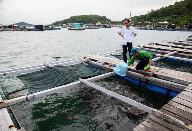 Kiên Giang: Phát huy tiềm năng du lịch cộng đồng tại thành phố Hà Tiên ảnh 2