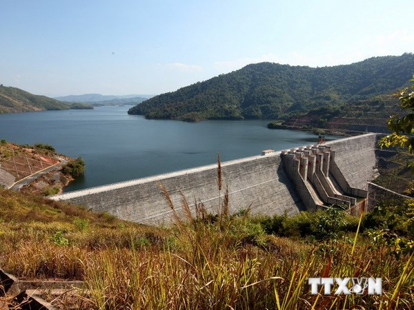 Thả bổ sung 78.000 con cá giống vào lòng hồ thủy điện Sơn La ảnh 1