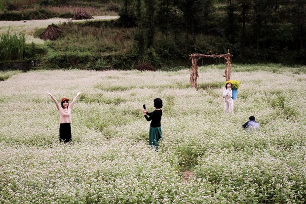 Nhộn nhịp du Xuân, tín hiệu khả quan của ngành du lịch Thủ đô ảnh 3