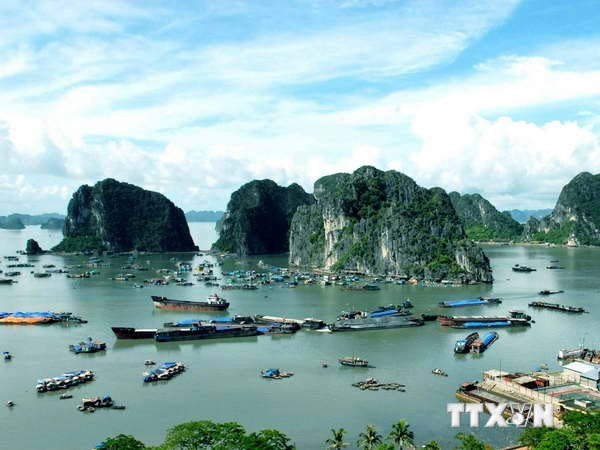 Vịnh Hạ Long. (Nguồn: TTXVN) Quản lý và khai thác bền vững giá trị di sản Vịnh Hạ Long ảnh 1