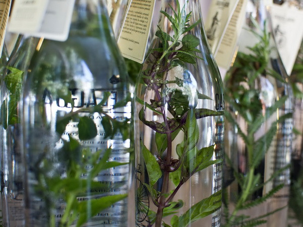 Công nghệ mới giúp làm sạch nước trong thời gian ngắn ảnh 1