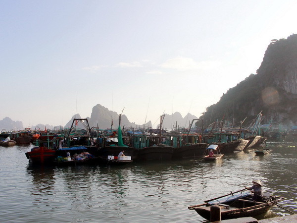 Tàu thuyền neo đậu tại cảng Cái Rồng, Quảng Ninh. (Ảnh minh họa: Văn Đức/TTXVN) Các tỉnh, thành phố từ Quảng Ninh đến Khánh Hòa đối phó bão Tokage ảnh 1