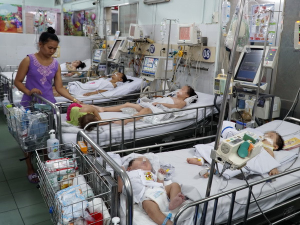 Thêm hai trẻ em nhập viện vì bệnh sốt rét tại TP Hồ Chí Minh ảnh 1