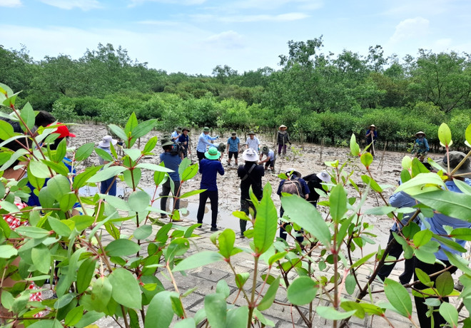 UNDP cam kết hỗ trợ người dân Thanh Hóa nâng cao chống chọi với bão lũ ảnh 2
