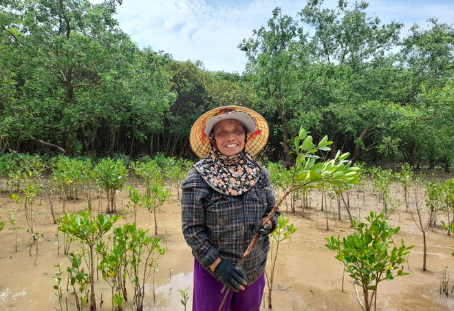 UNDP cam kết hỗ trợ người dân Thanh Hóa nâng cao chống chọi với bão lũ ảnh 5