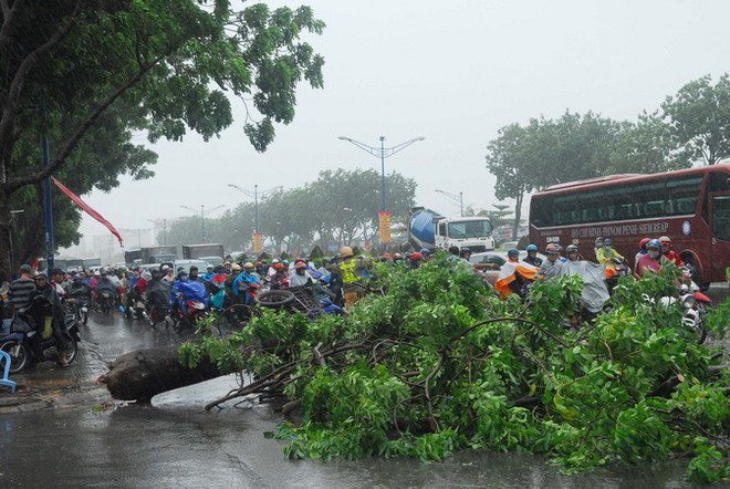 Hà Nội ngày nắng đêm mưa, miền Trung và Nam Bộ thời tiết xấu ảnh 1