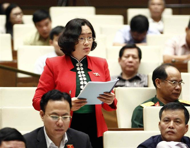 Cần có Nghị quyết chuyên đề tích hợp chính sách vùng dân tộc thiểu số ảnh 1