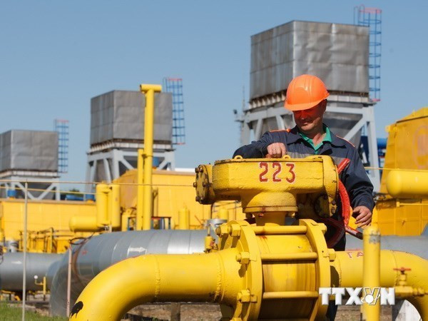 Các nghị sỹ Nga đề xuất lệnh trừng phạt mua dầu mỏ của IS ảnh 1