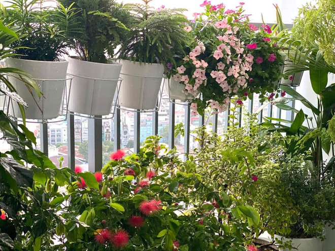 Cộng đồng mạng thi nhau kể chuyện cây xanh và chiến dịch ý nghĩa ảnh 2