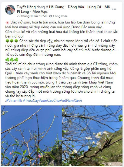 Cộng đồng mạng thi nhau kể chuyện cây xanh và chiến dịch ý nghĩa ảnh 3