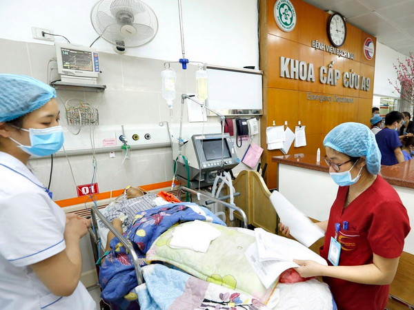 Ba người trong một gia đình tử vong do ngộ độc rượu ngâm rễ cây rừng ảnh 1